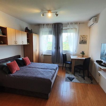 Apartman 64 - Besplatan Parking Za Goste Novi Sad Extérieur photo