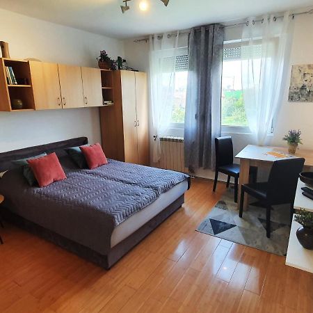 Apartman 64 - Besplatan Parking Za Goste Novi Sad Extérieur photo