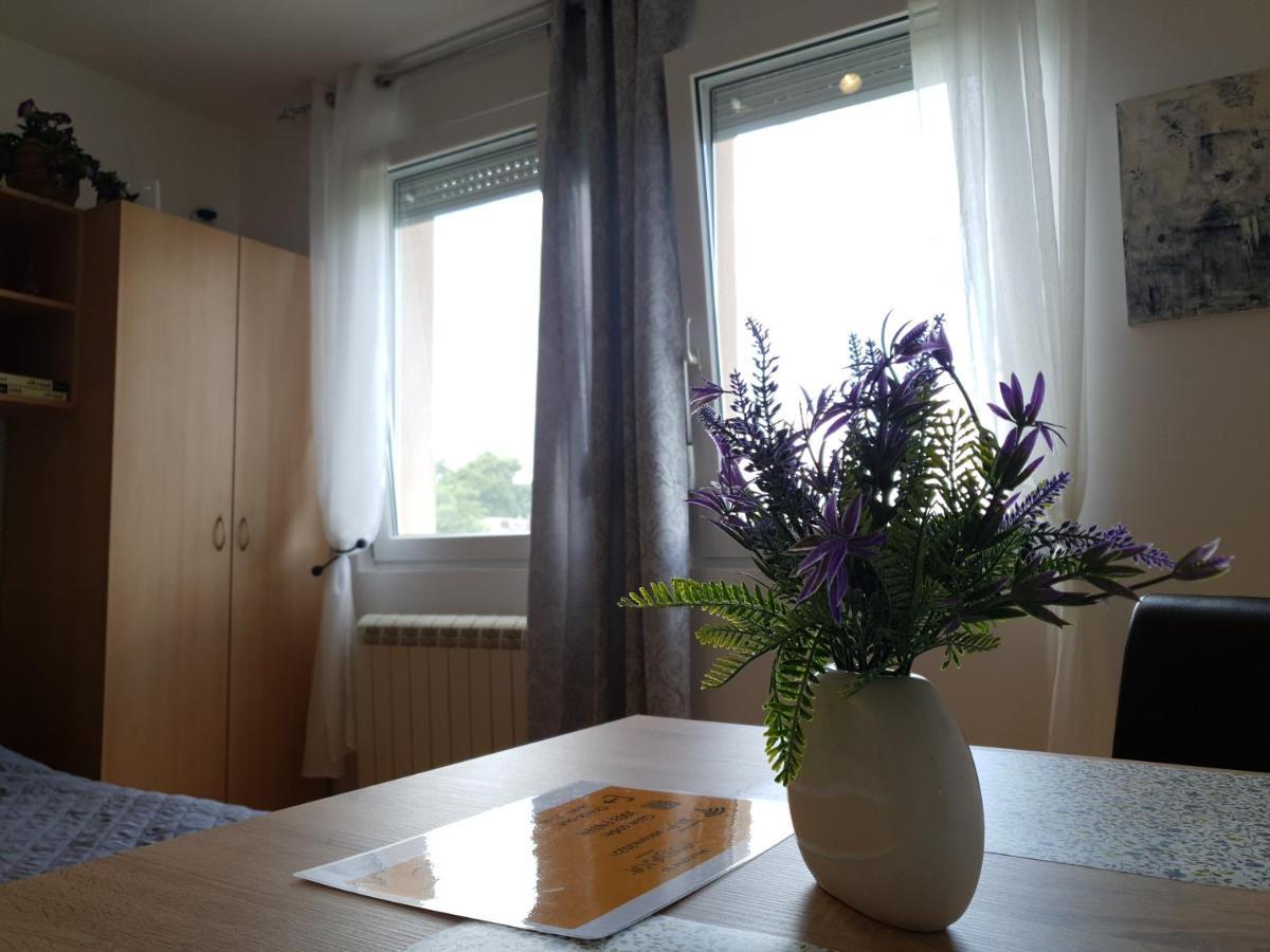 Apartman 64 - Besplatan Parking Za Goste Novi Sad Extérieur photo