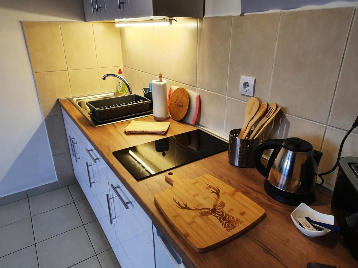 Apartman 64 - Besplatan Parking Za Goste Novi Sad Extérieur photo