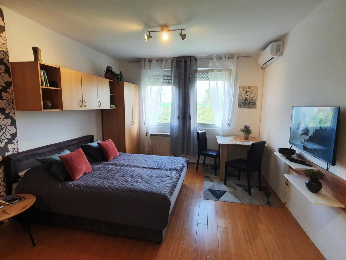 Apartman 64 - Besplatan Parking Za Goste Novi Sad Extérieur photo